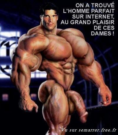 l homme parfait